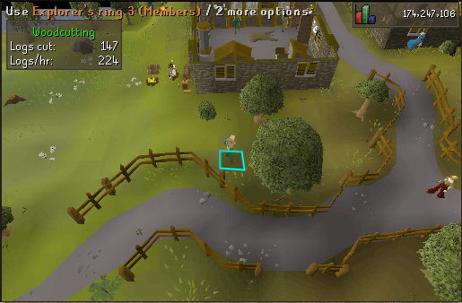 Oak Tree Chopping.webp Chopping the Oak tree south of Draynor village bank.
