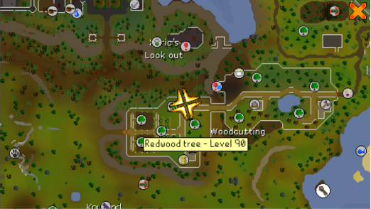 Redwood Location.webp OSRS map showing location of Redwood trees at the Woodcutting Guild.