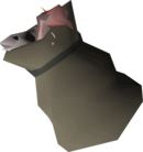 Fish Sack