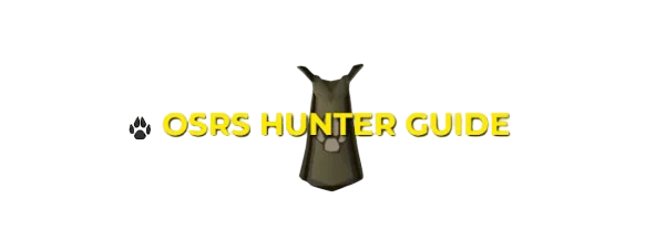 Hunter Training Guide Leveling 1-99 Fastest XP Rates