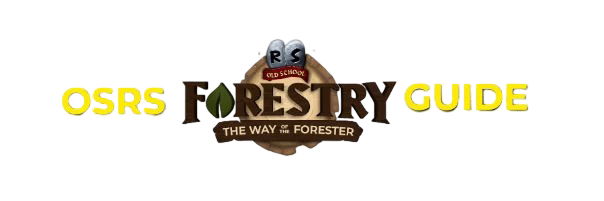 OSRS Forestry Guide: XP Rates, Locations, Worlds & Rewards