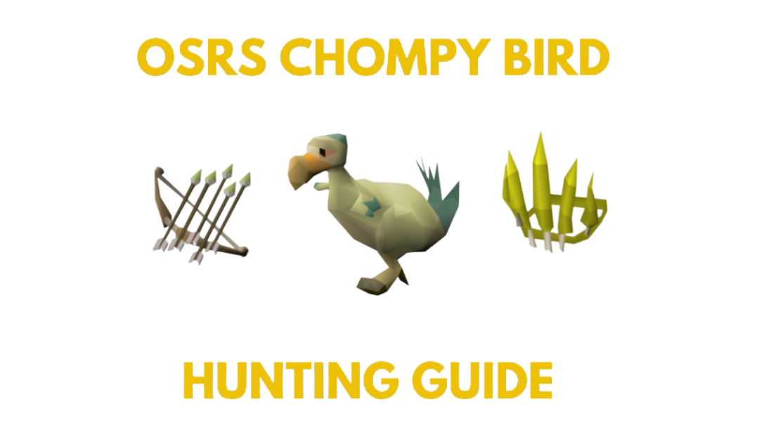 OSRS Chompy Bird Hunting Guide: Efficient Kills Per hour