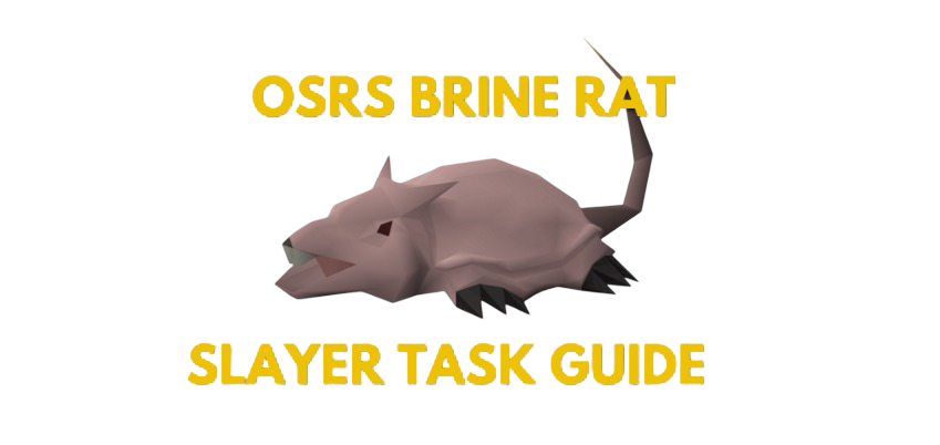 OSRS Brine Rat Slayer Task Guide: Stratey & Cannon Spots