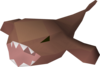 Fishing Raw Monkfish