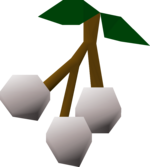 Collecting White Berries