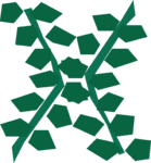 Giant Seaweed Runs