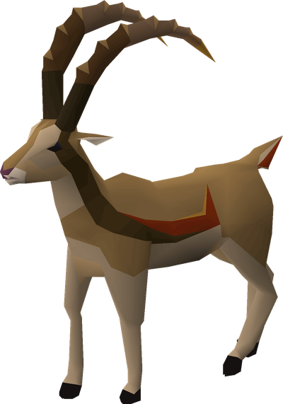 Catching Sunlight Antelopes