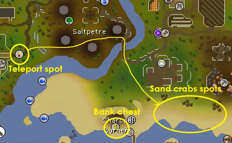 an image showing how to get to sand crabs for the woodcutting guild in OSRS