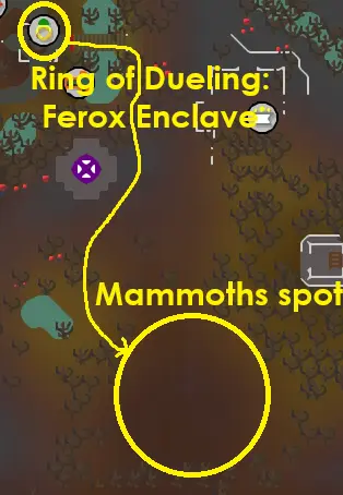 an image showing how to get to mammoths in OSRS