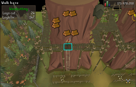 Redwood Tree Chopping.webp Chopping the Redwood tree at the Woodcutting Guild