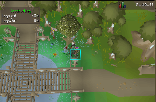 Magic Tree Chopping.webp Chopping Magic trees at Prifddinas.