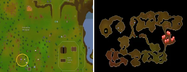 stronghold slayer cave for Ankou