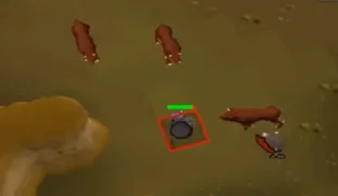 stronghold slayer cave cannon spot for Hellhounds